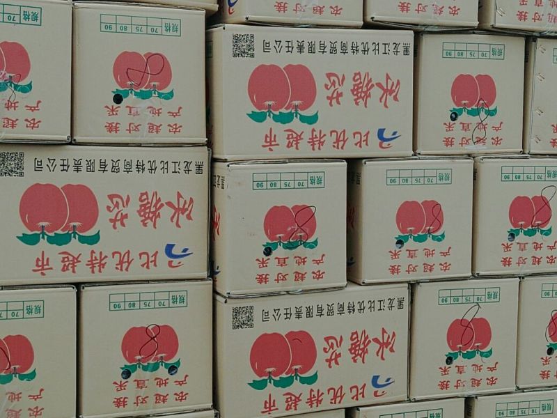 冰糖心苹果60mm以上光果