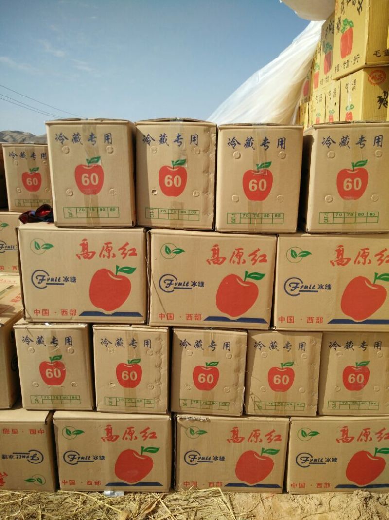 冰糖心苹果60mm以上光果