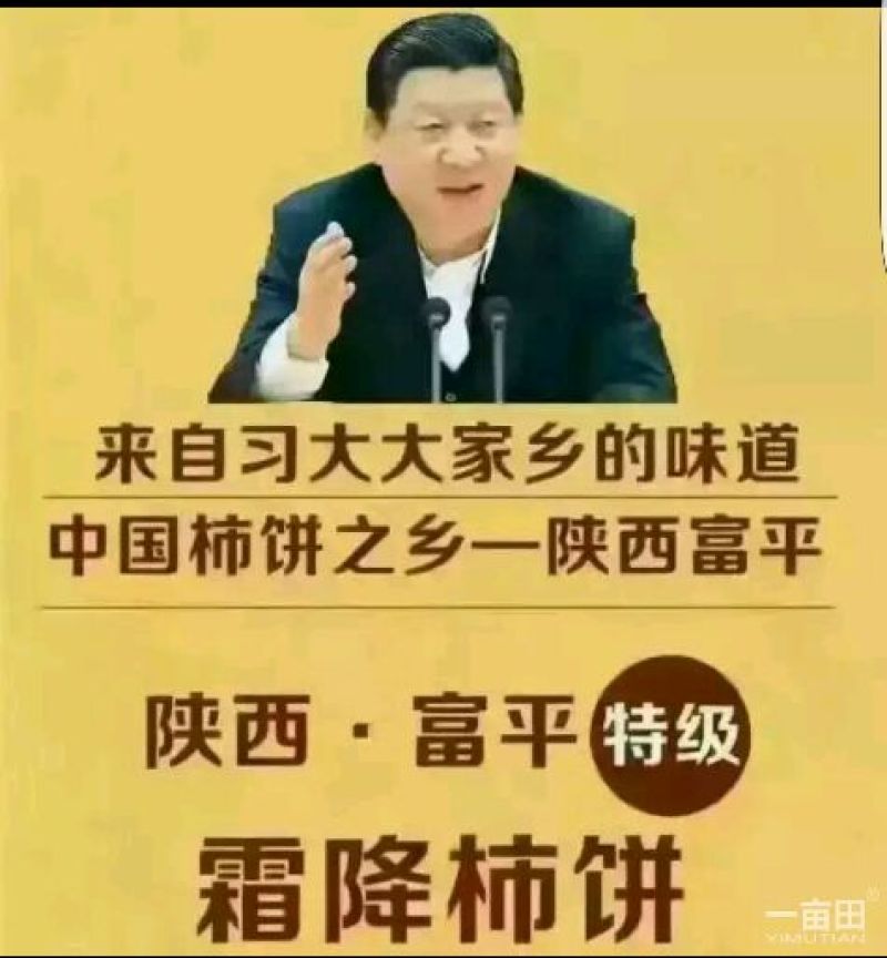 柿饼2.5两以上