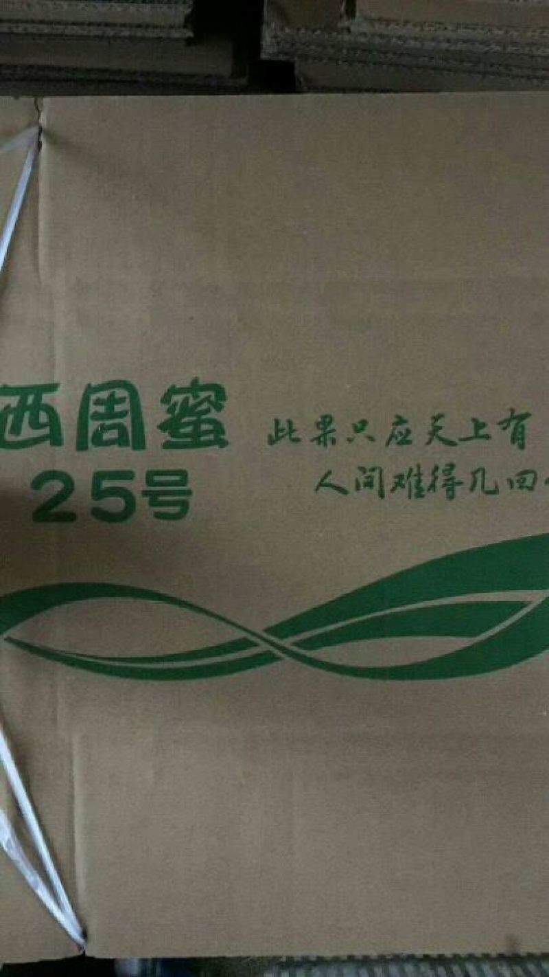 西州蜜瓜5斤以上长圆形