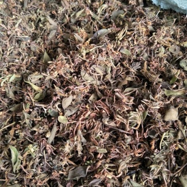 金银花统花