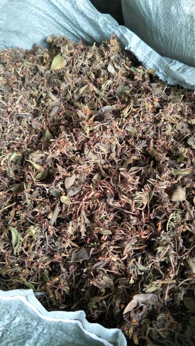 金银花统花