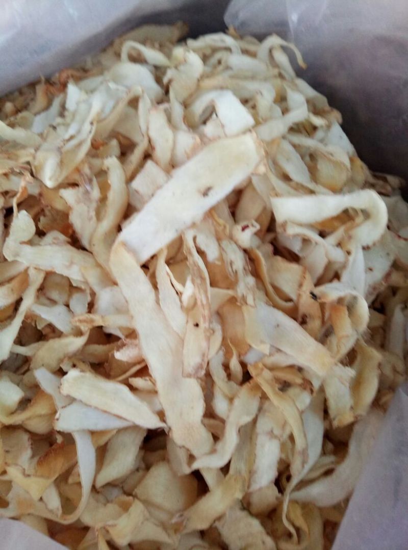 玉竹干