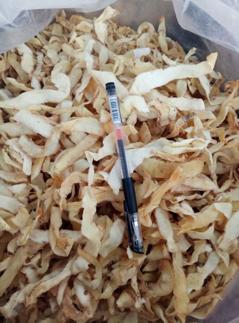 玉竹干