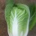 大白菜4~6斤净菜