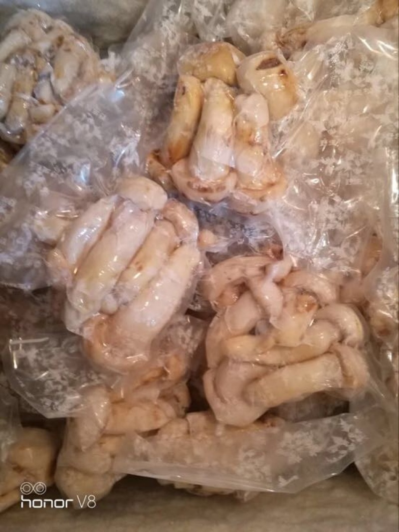 松茸特级8厘米以上