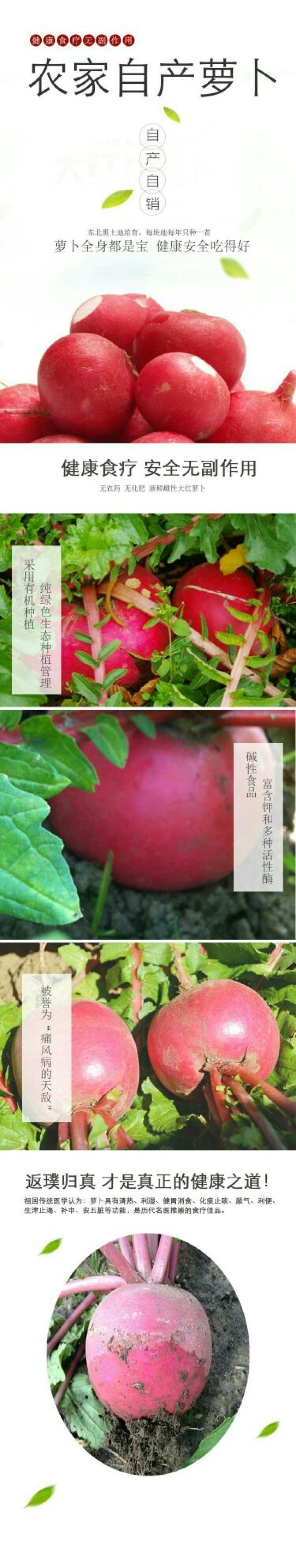 红皮萝卜1.5~2斤起