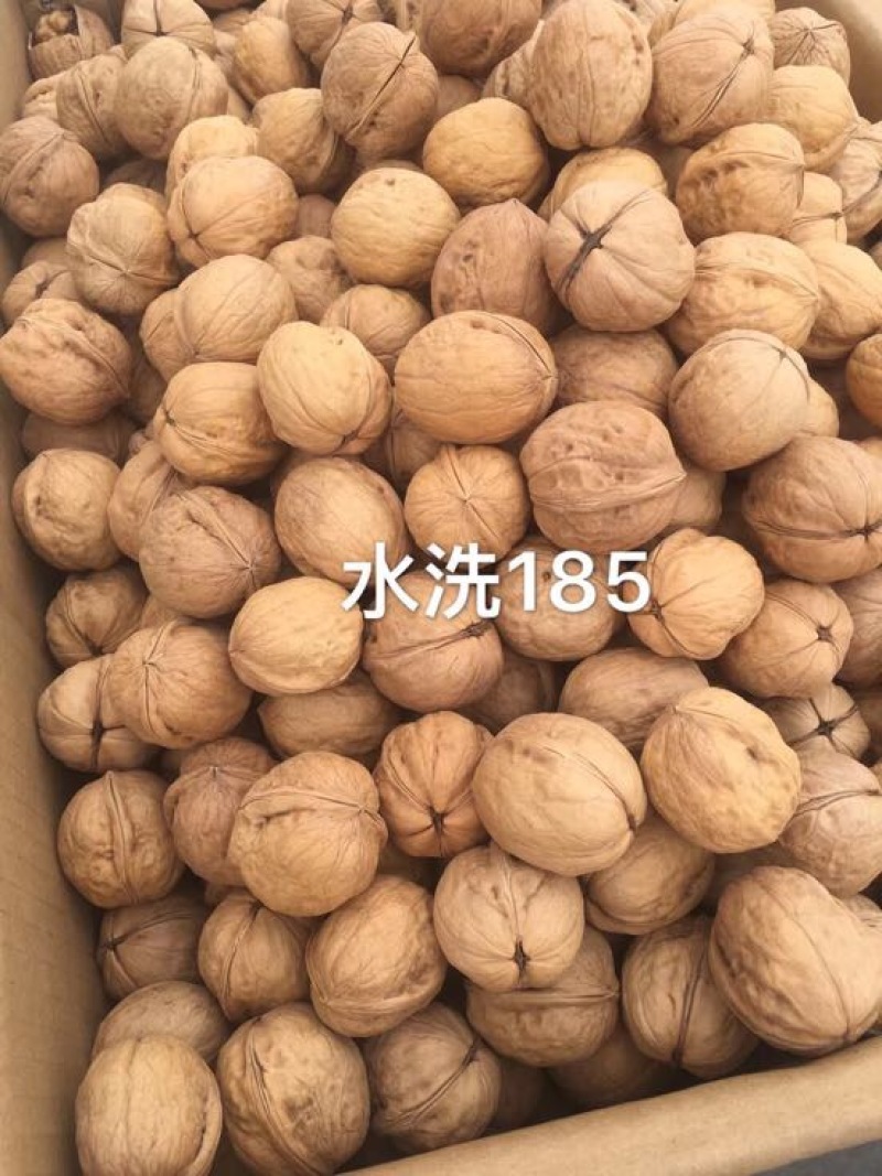 新疆核桃去皮30mm以上干