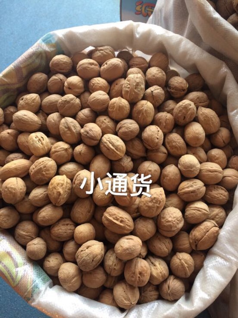 新疆核桃去皮30mm以上干