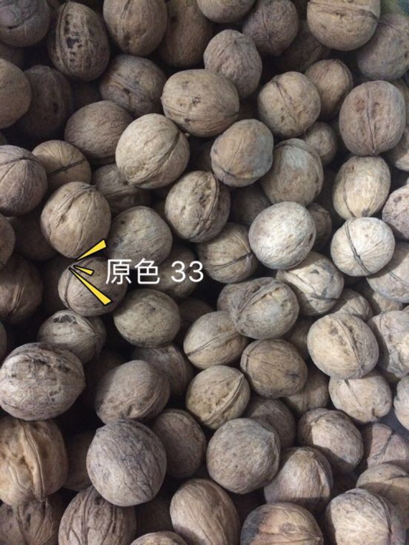 新疆核桃去皮30mm以上干