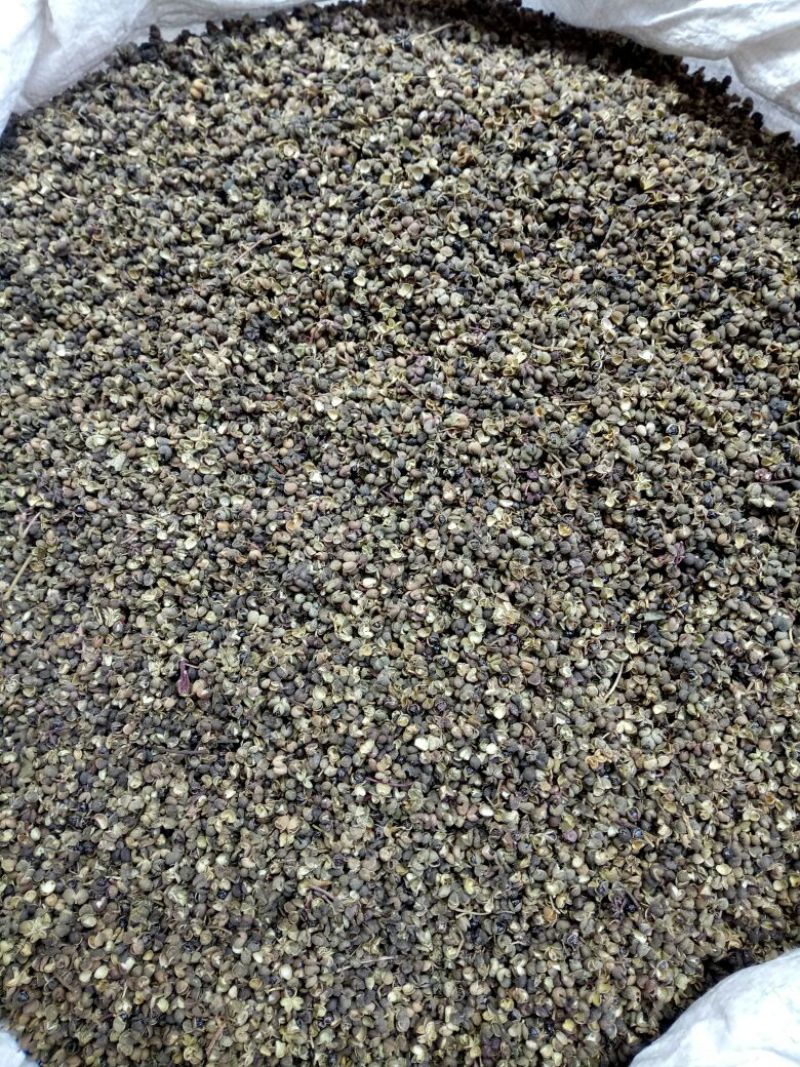 川椒干货药用选货籽少无杂质量大从优