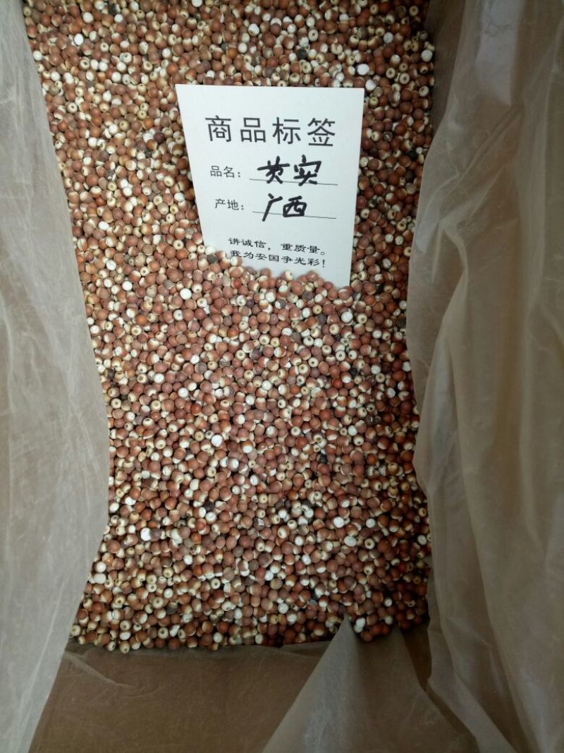 芡实整粒山东干货量大从优各种规格中粒大粒