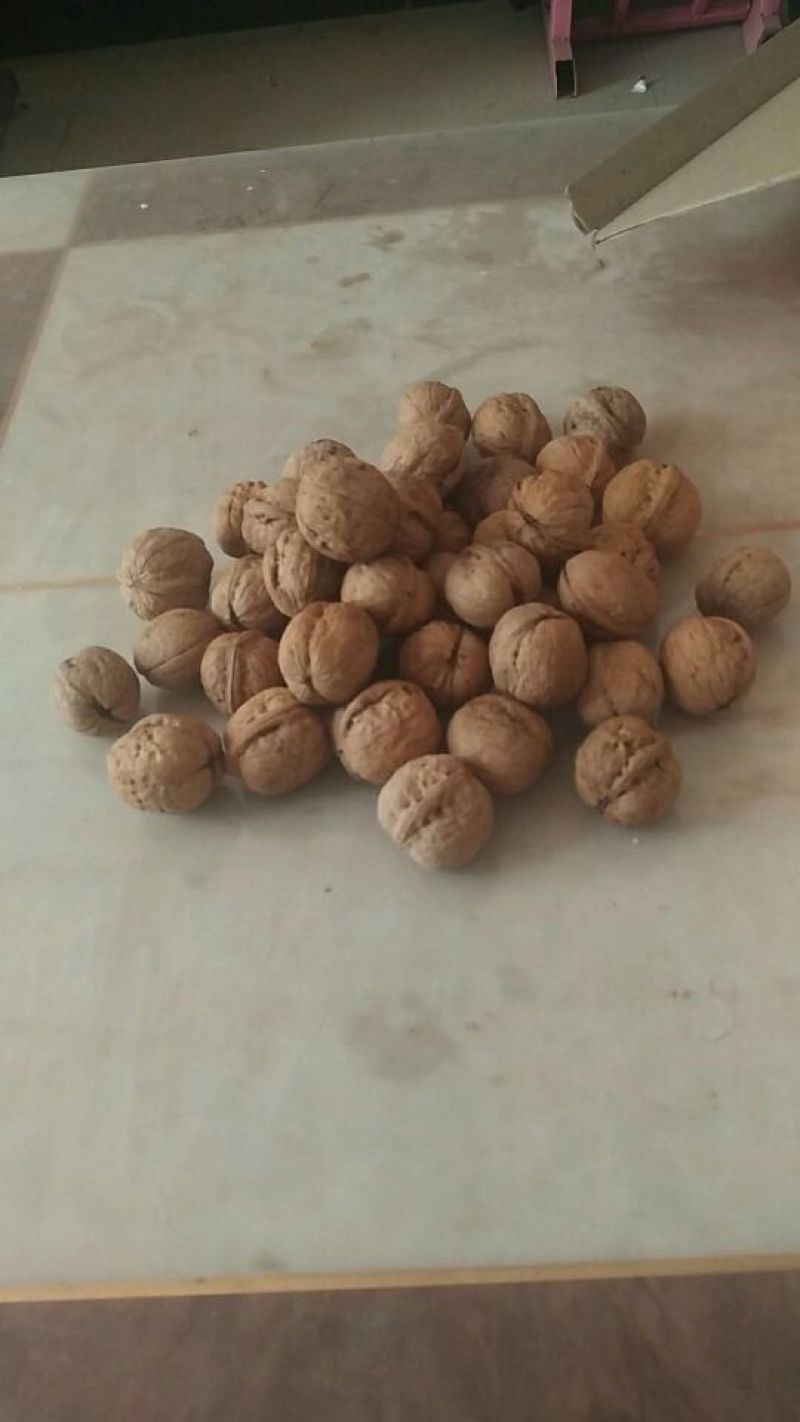 核桃25mm以下去皮干