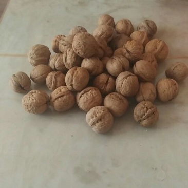 核桃25mm以下去皮干