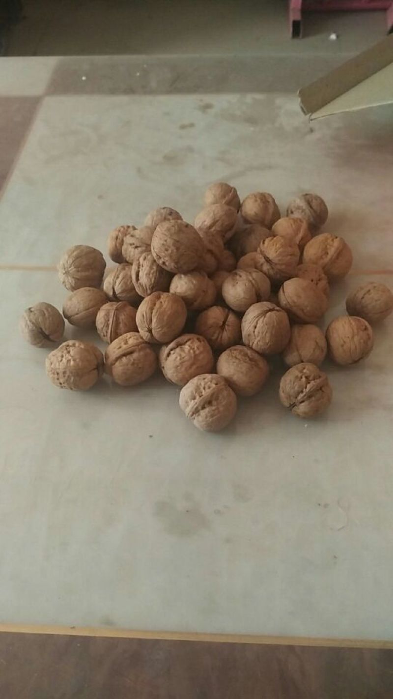 核桃25mm以下去皮干