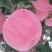 红富士苹果80mm以上纸袋