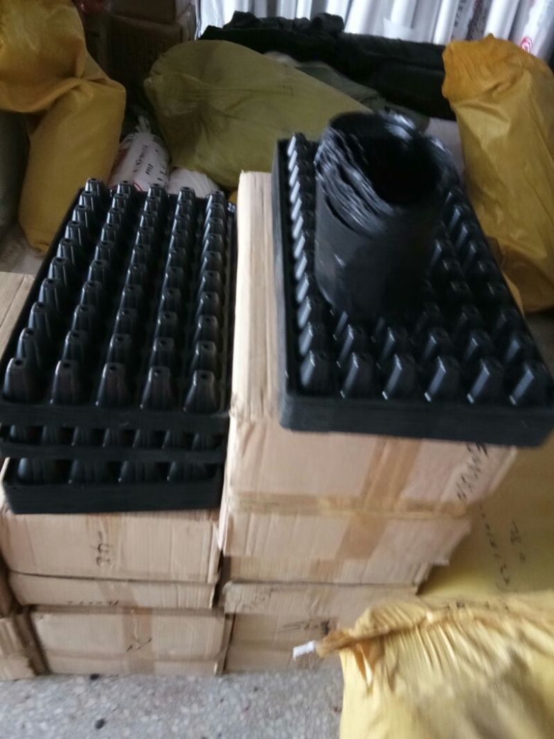 穴盘育苗盘穴盘营养钵塑料蔬菜瓜果苗加厚穴盘