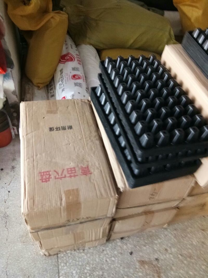 穴盘育苗盘穴盘营养钵塑料蔬菜瓜果苗加厚穴盘