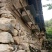 陕南土蜂蜜秦岭土蜂蜜野生土蜂蜜宁陕土蜂蜜1斤