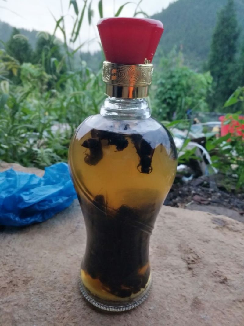 胡蜂平箱装