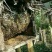 土蜂蜜1斤