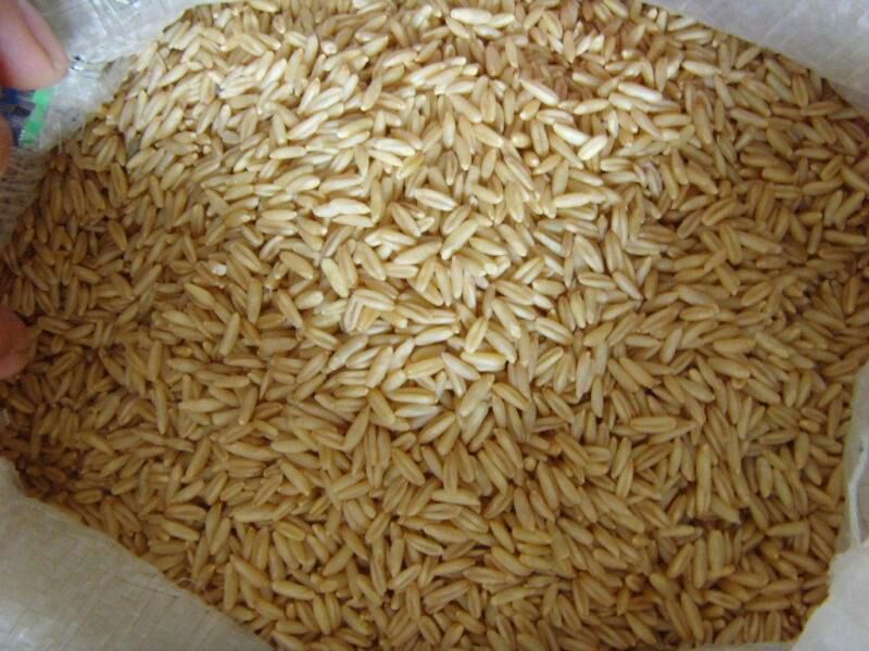 莜麦袋装