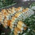 精品黄心菜白菜大量上市，欢迎各地市场，欢迎采购