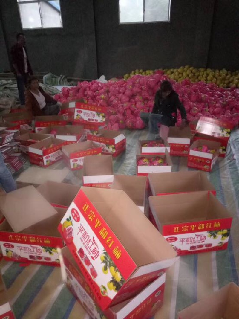 精品白柚红柚蜜柚皮薄多汁水分充足口感纯甜产地一手货源