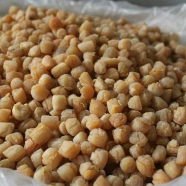 扇贝食用鲜活0.1只/kg以下