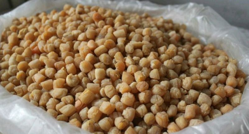 扇贝食用鲜活0.1只/kg以下
