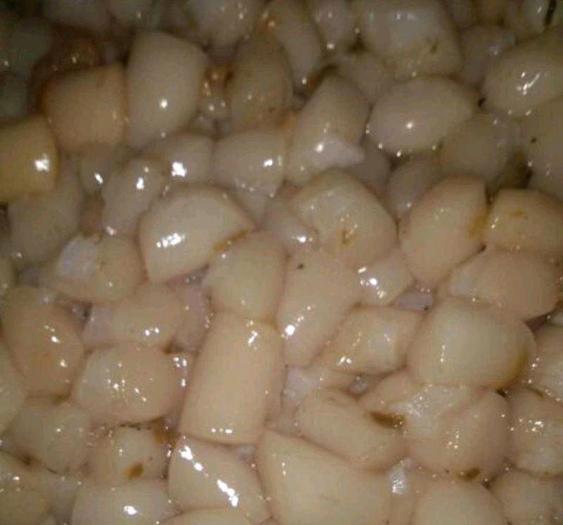 扇贝食用鲜活0.1只/kg以下