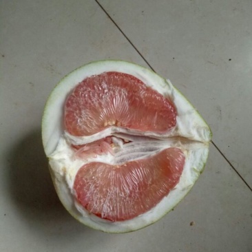 红心柚，水分充足，产地一手货源，新鲜保质欢迎来