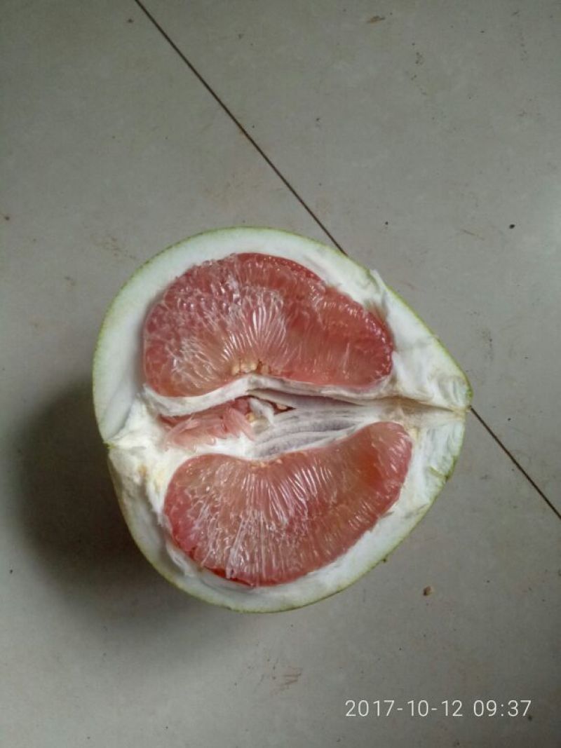 红心柚，水分充足，产地一手货源，新鲜保质欢迎来