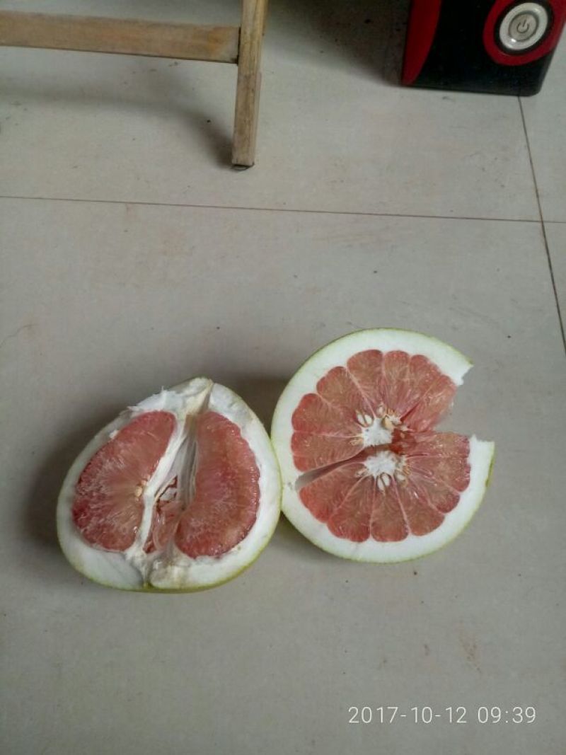 红心柚，水分充足，产地一手货源，新鲜保质欢迎来