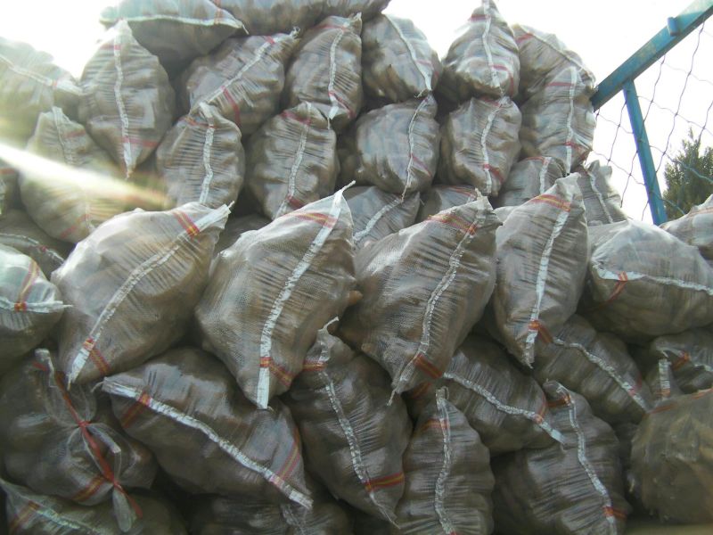 徐183两以上加工薯白心