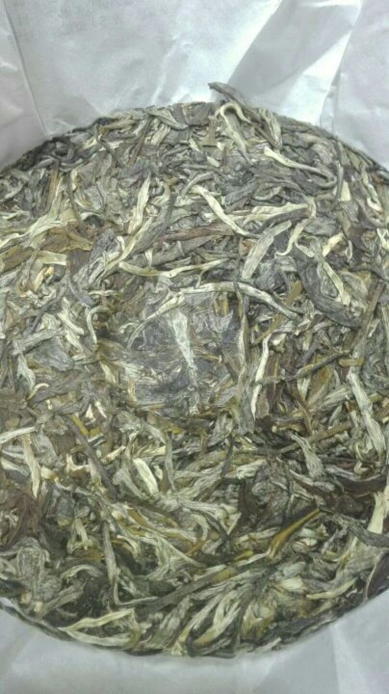 老曼娥生茶普洱青饼条索漂亮