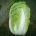 北京新三号白菜4~6斤净菜