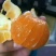 圆红脐橙70~75mm