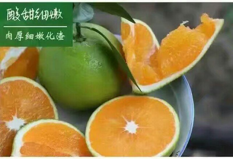 九月红脐橙70~75mm