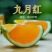 九月红脐橙70~75mm