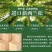 木质栅栏木栅栏碳化木栅栏围墙白色栅栏庭院围栏花园栅栏