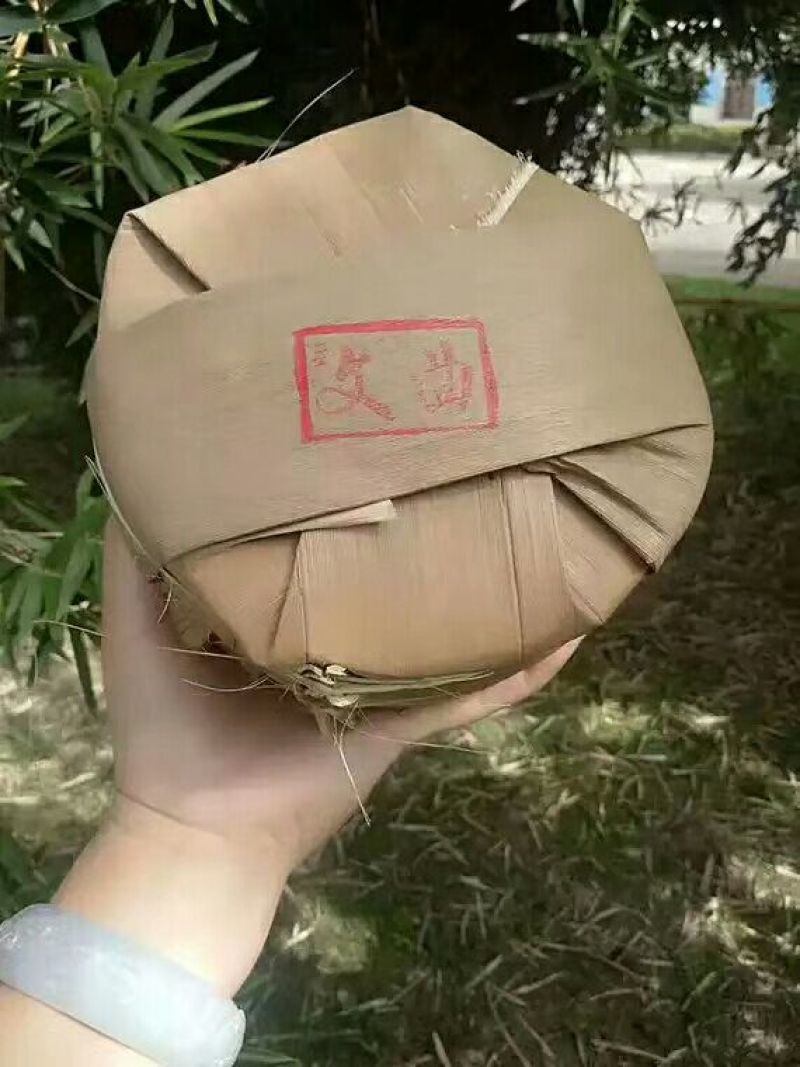 普洱茶云南边境农家茶