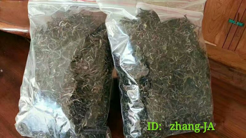 普洱茶云南边境农家茶