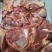 马肉冷冻