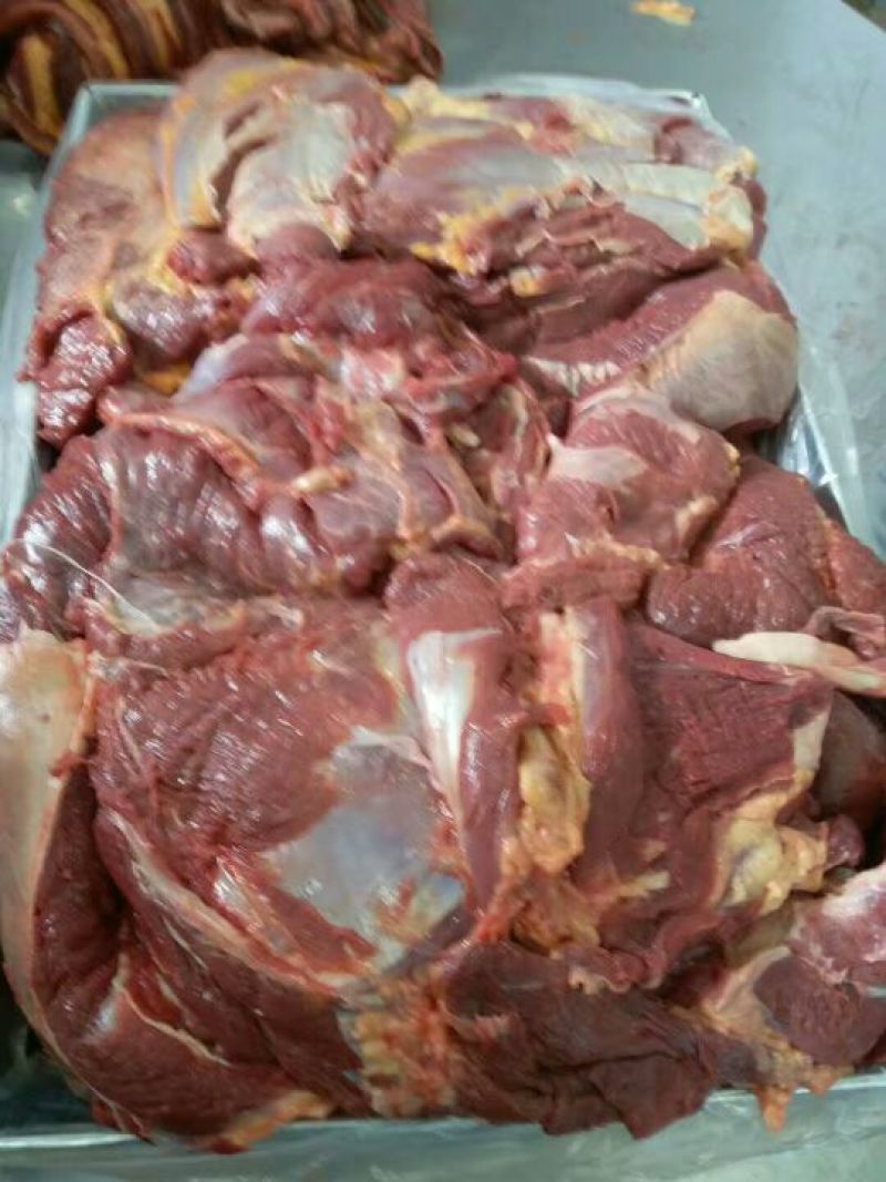 马肉冷冻
