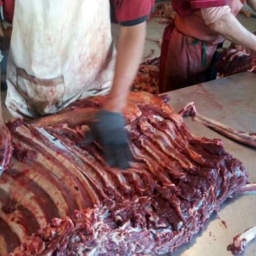 马肉冷冻