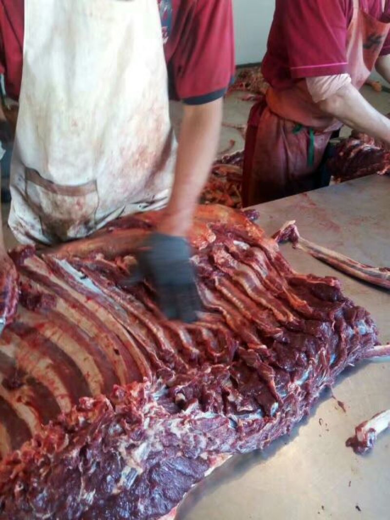 马肉冷冻