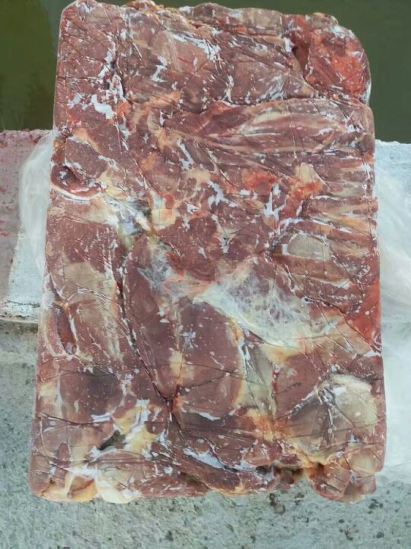马肉冷冻
