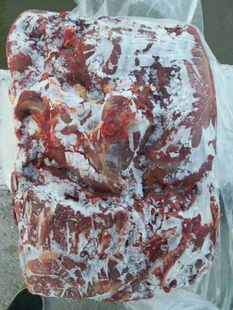 马肉冷冻