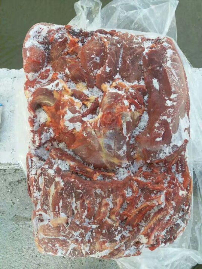 马肉冷冻
